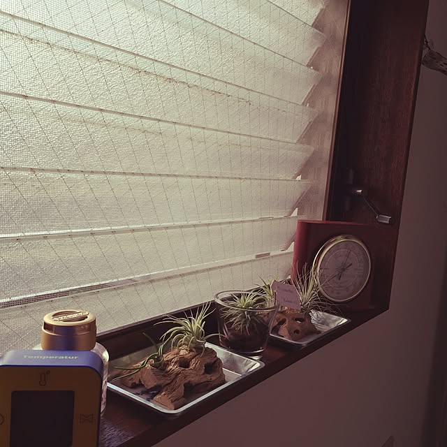 reon21さんの実例写真