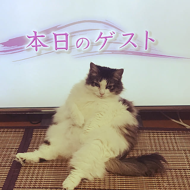 1933さんの実例写真