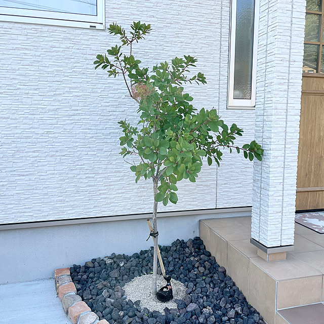 Melさんの部屋