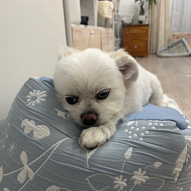 akoさんの実例写真