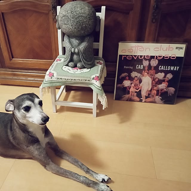moruさんの実例写真