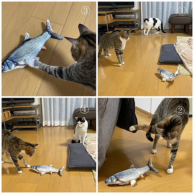 nobikoさんの実例写真