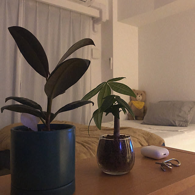 ramupanさんの実例写真
