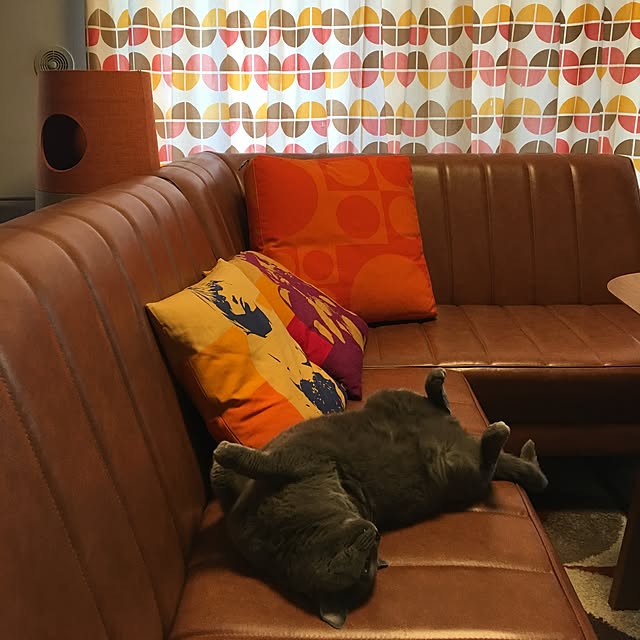 ikettenさんの実例写真