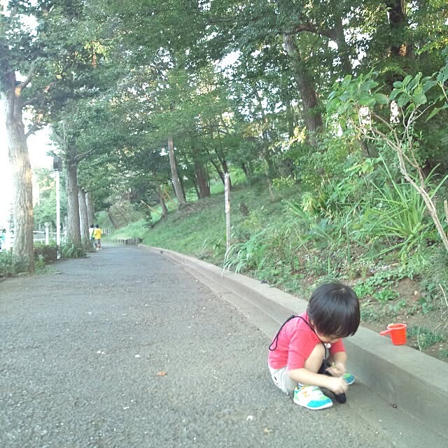kokkomachaさんの実例写真