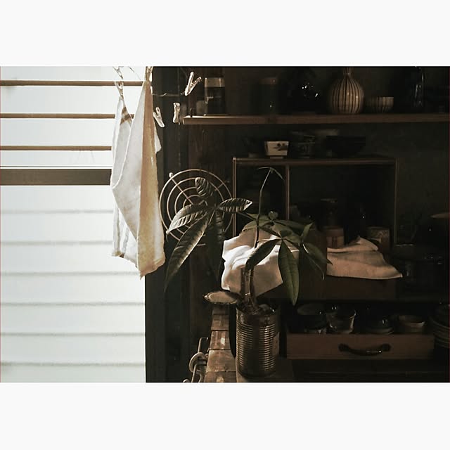 miyoさんの実例写真