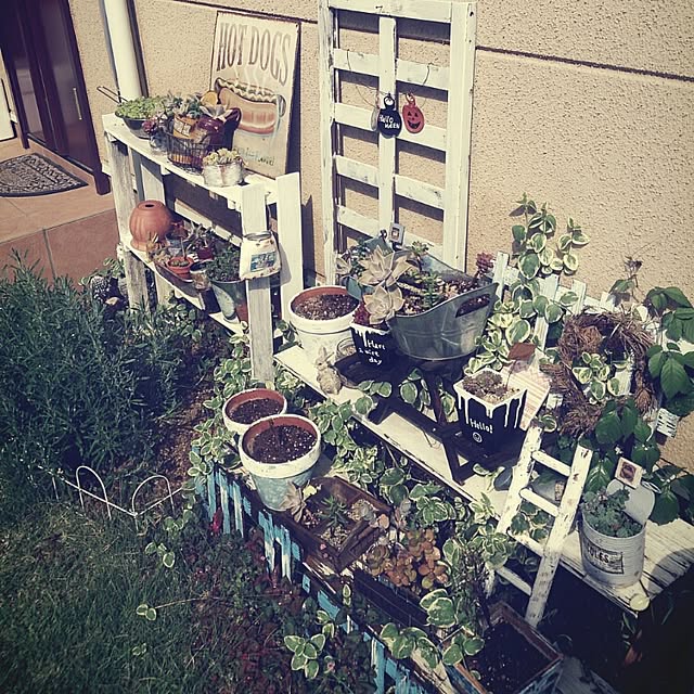 soraさんの実例写真