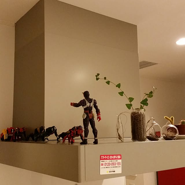 kickさんの実例写真
