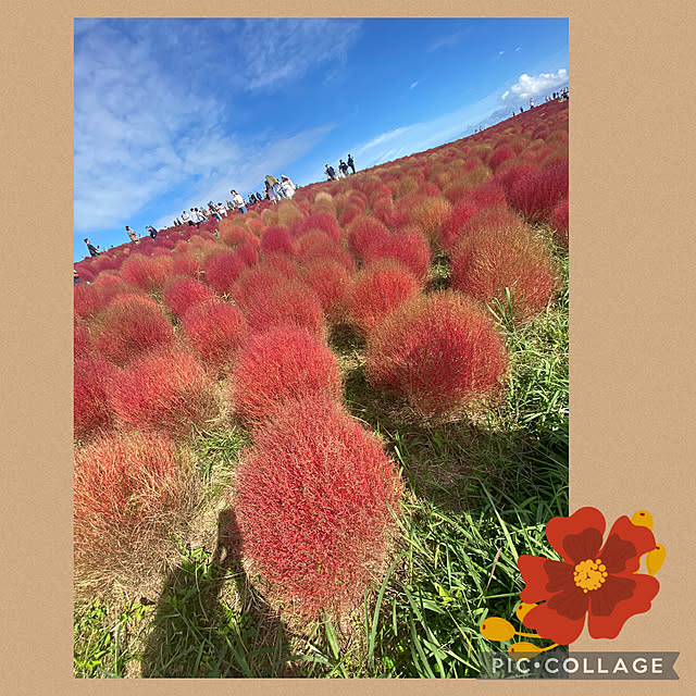 Smilkazuさんの部屋
