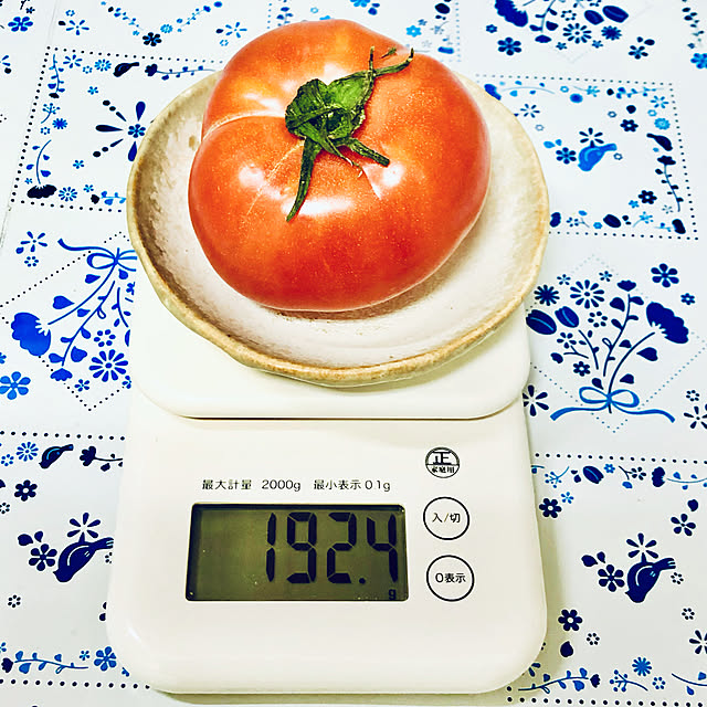 lilyさんの実例写真