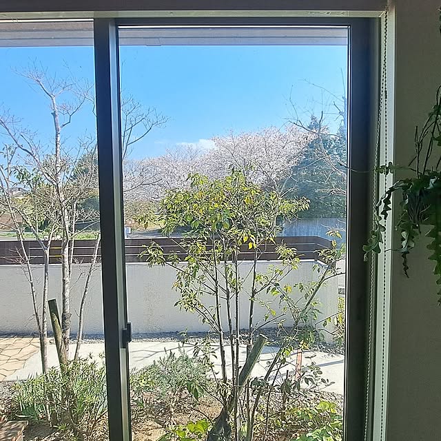 Saranさんの実例写真