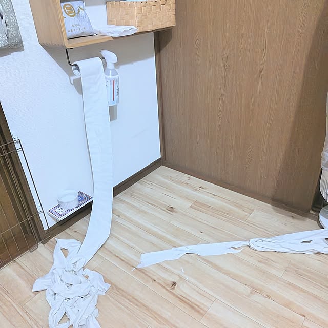 santamamaさんの部屋