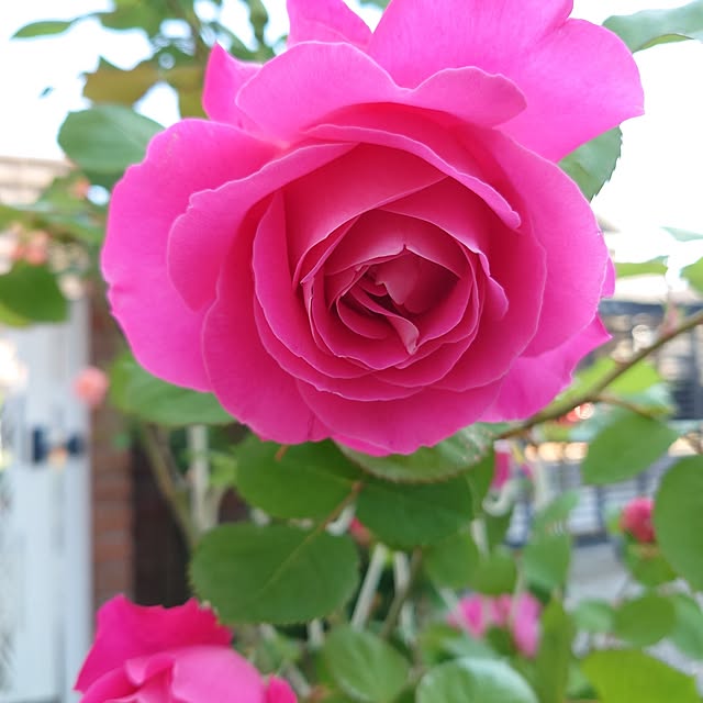 fleur-mamanさんの実例写真