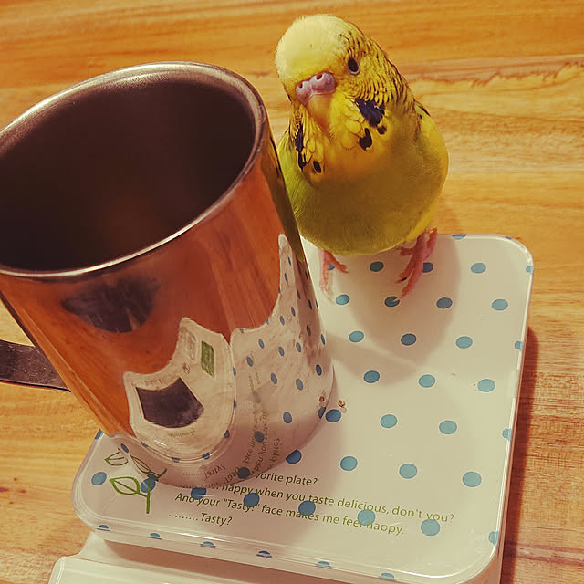 kyonさんの実例写真