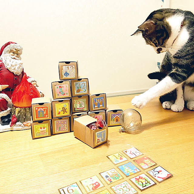 ippu0303Karinさんの実例写真
