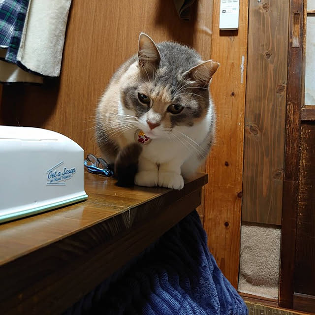 fukuさんの実例写真