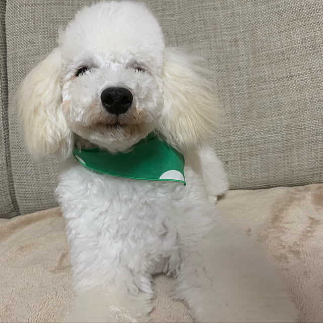 BUNさんの実例写真