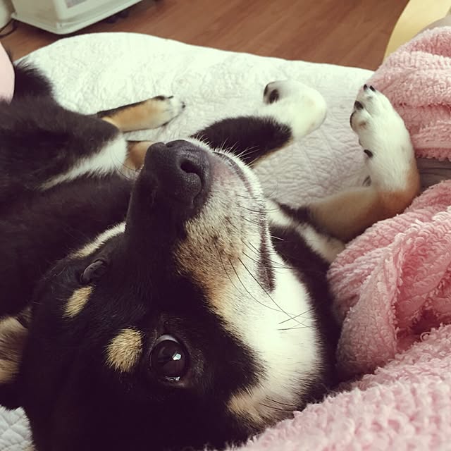 tetsuさんの実例写真