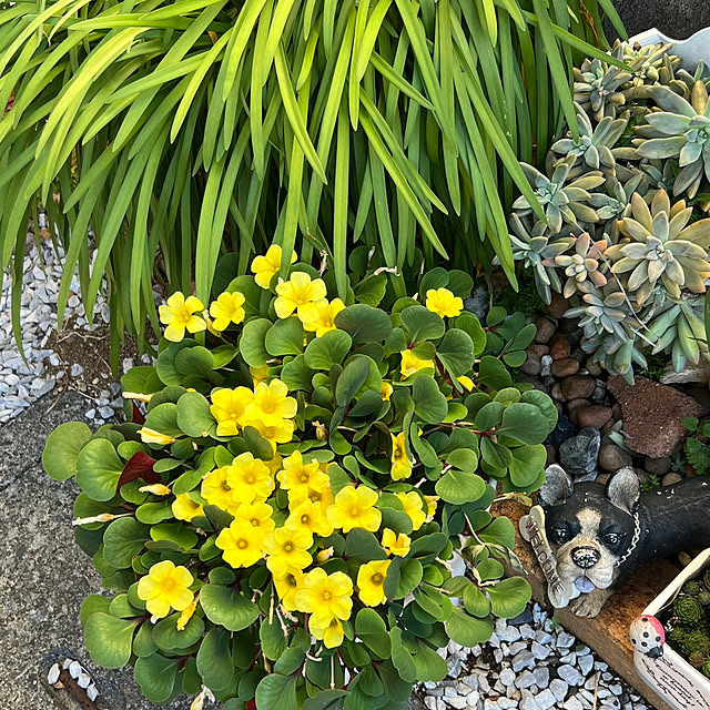 nannoさんの部屋