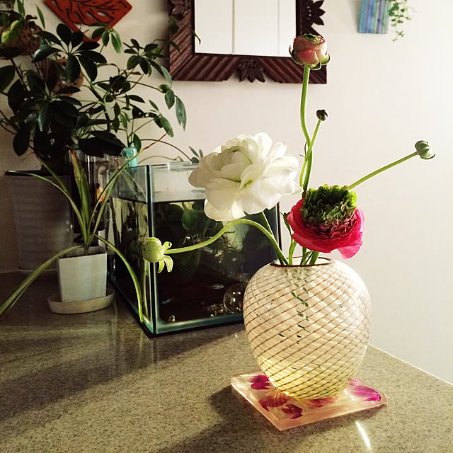 cloudia_gardenさんの実例写真