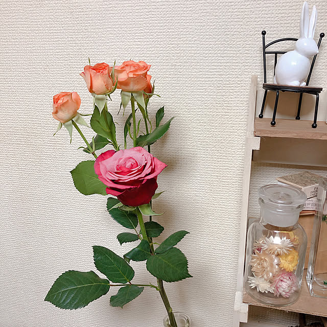 kojiro120513さんの実例写真