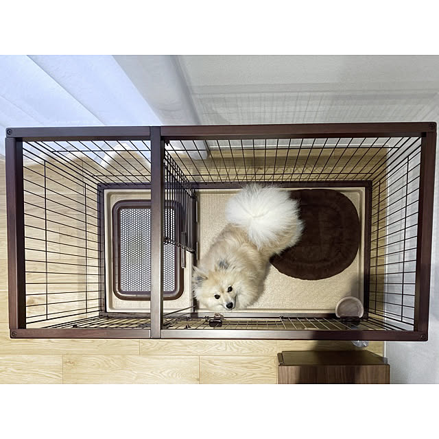 omomさんの実例写真
