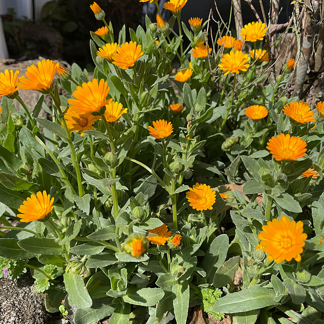 natsumiさんの部屋