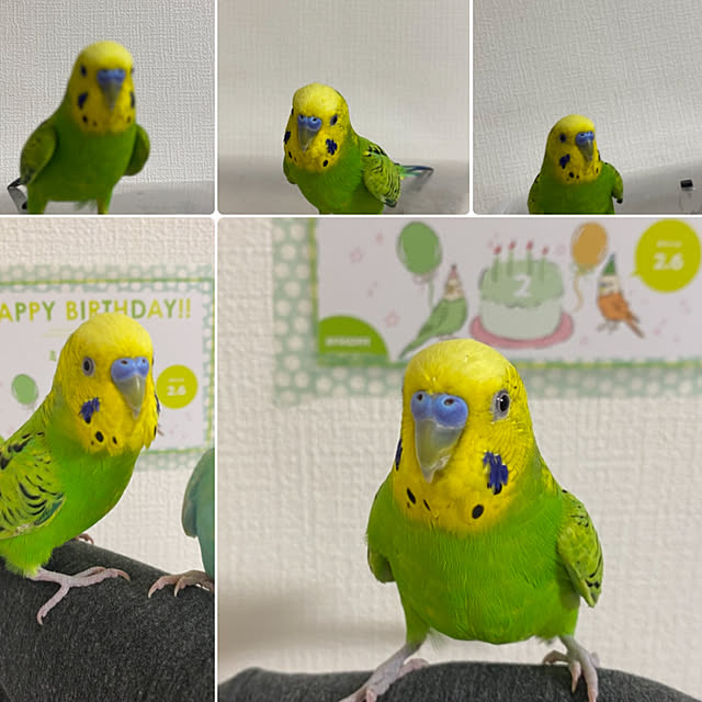 ohanaさんの実例写真