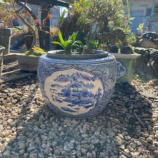 shin0719さんの実例写真