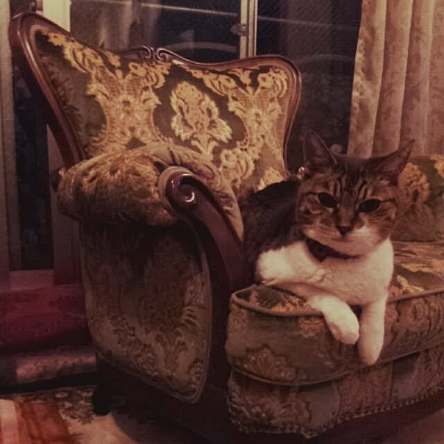 emmyyさんの実例写真