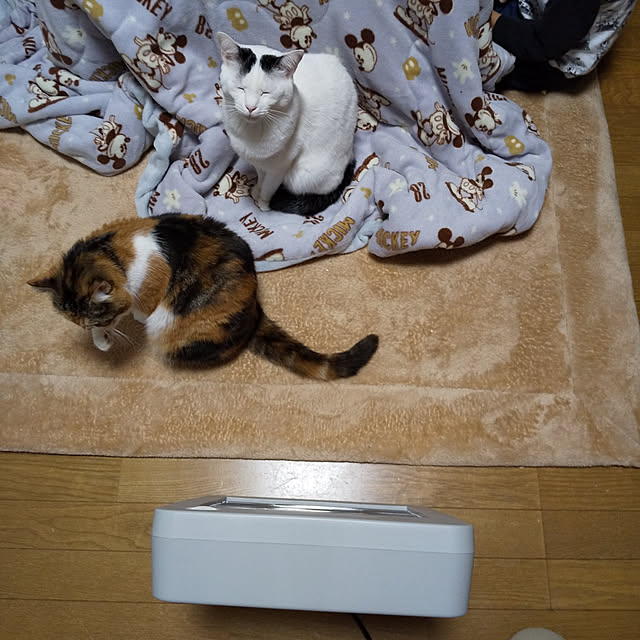 yukieさんの実例写真