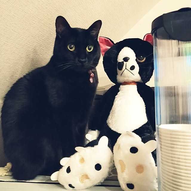 Tさんの実例写真