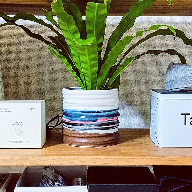 hanachanさんの部屋