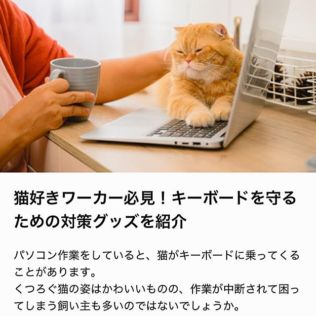 ayataroさんの部屋