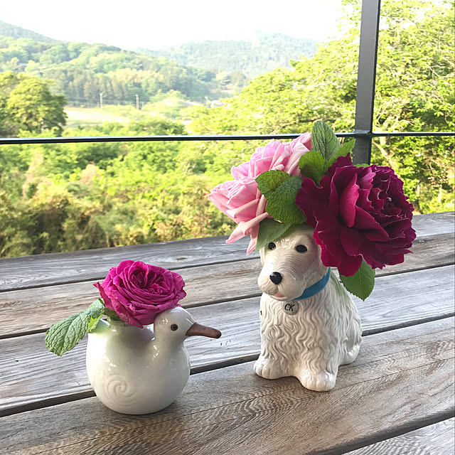 sakurasakuさんの実例写真