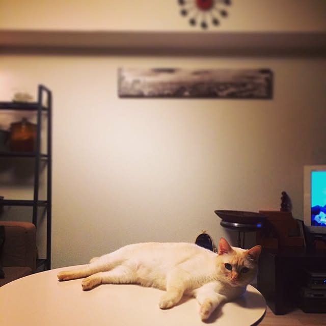 bobooooonさんの実例写真