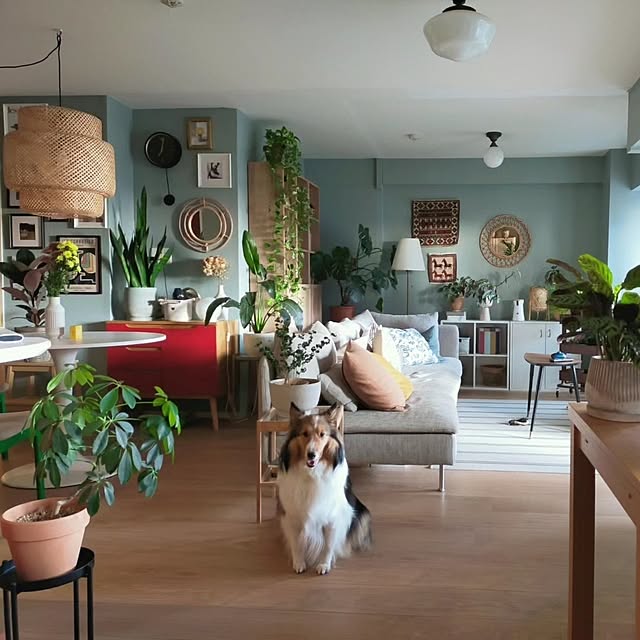 nonono1126さんの実例写真