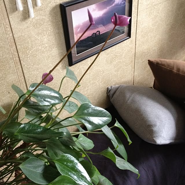 greさんの実例写真