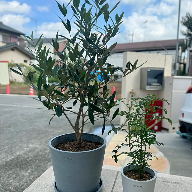 yutaさんの部屋