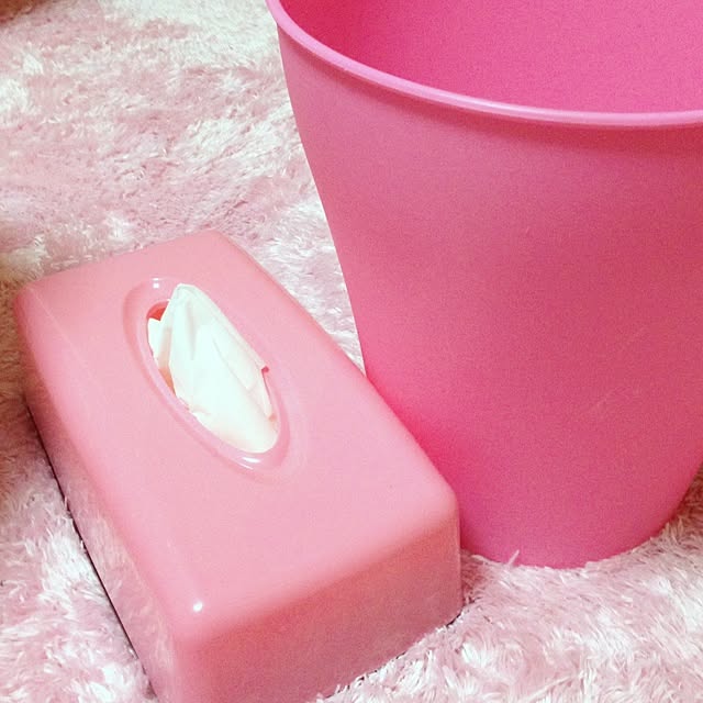 sae134rさんの実例写真