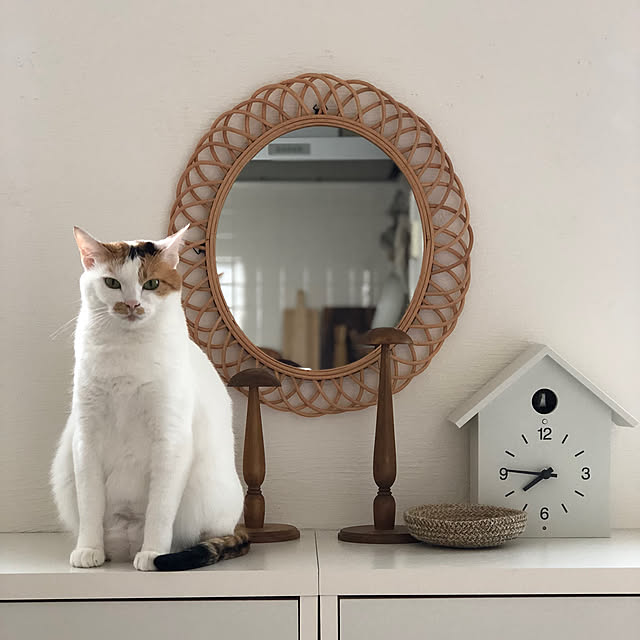 kajiさんの実例写真
