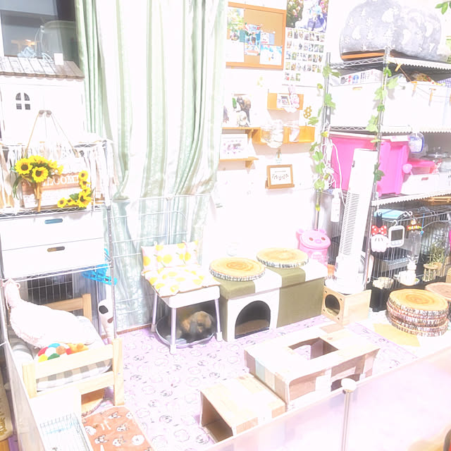 mariaさんの実例写真