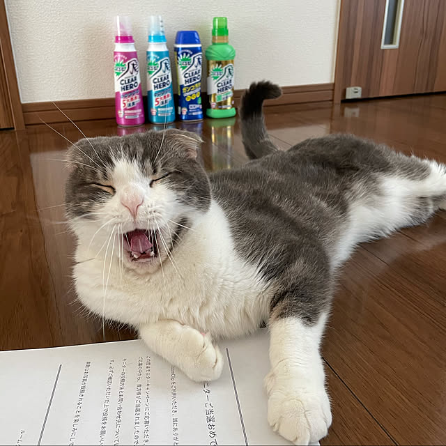 tansukeさんの実例写真