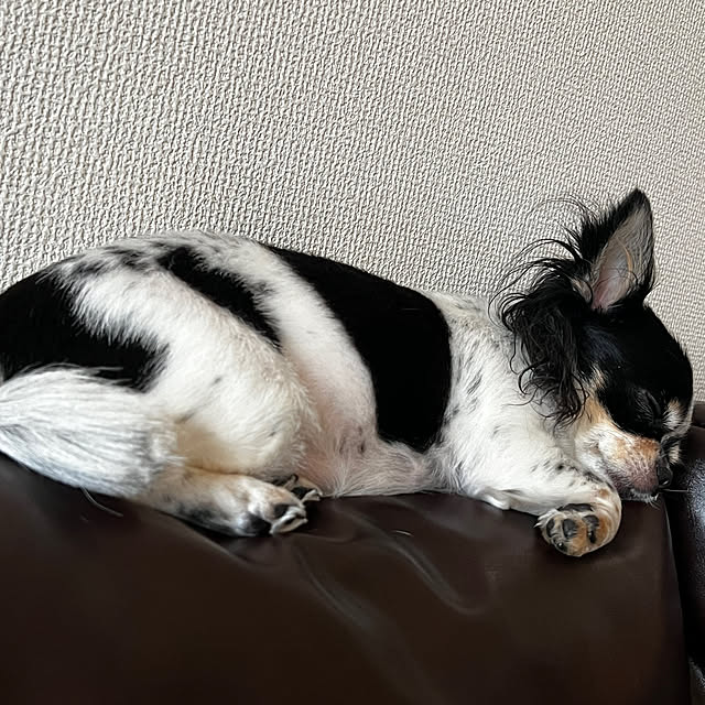ramu29さんの部屋