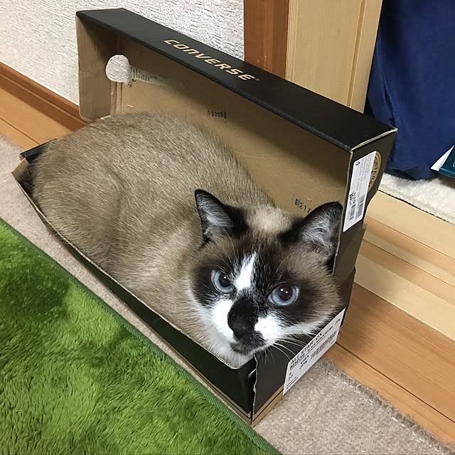 mari23さんの実例写真