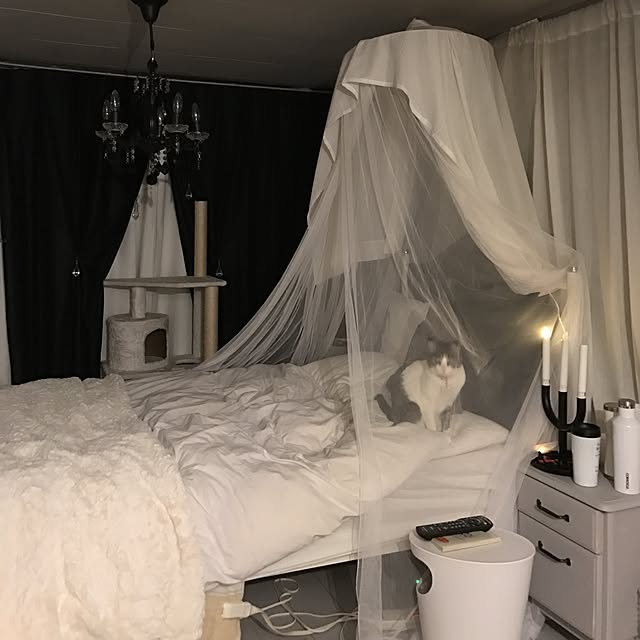 Shihoさんの実例写真