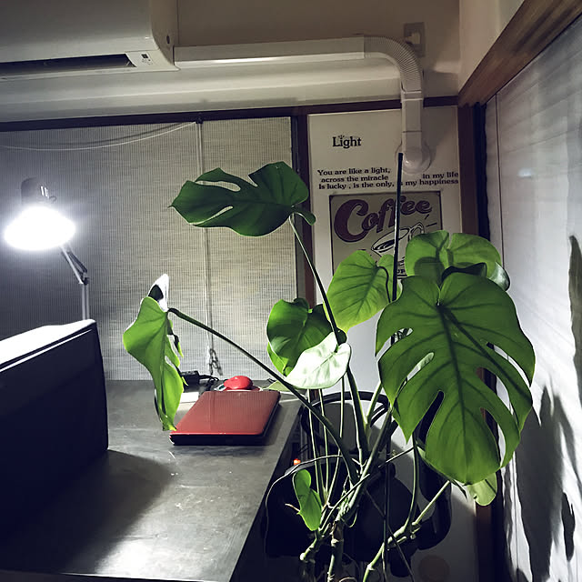naoさんの実例写真