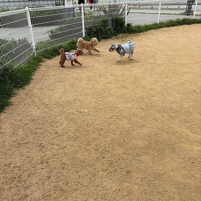 alchoさんの部屋