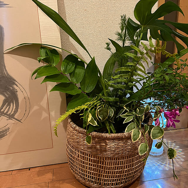 cagosukiさんの実例写真