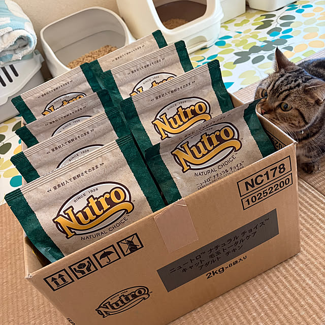 chiiさんの実例写真